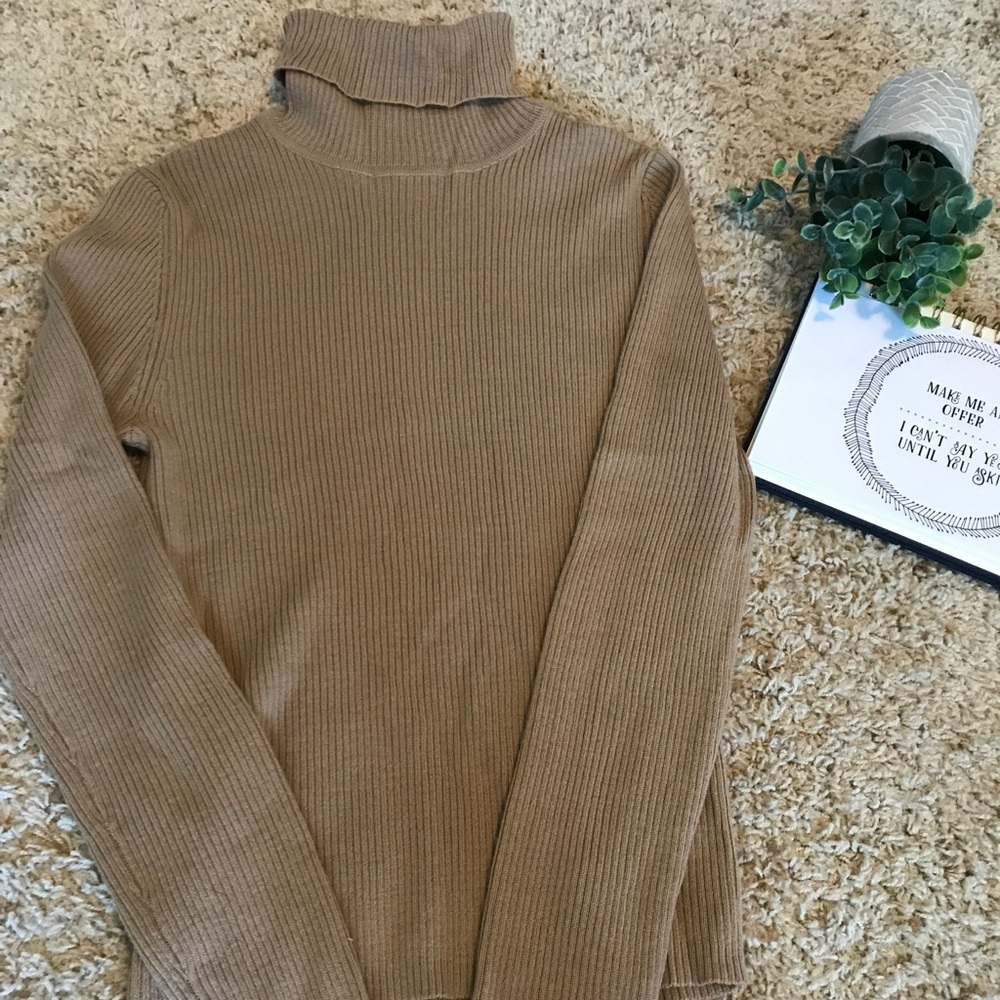The Limited Turtleneck Sweater